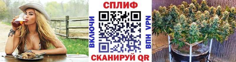 Купить наркотики сайты Севск Каннабис  COCAIN  Гашиш  МЕТАДОН  Меф  A PVP 
