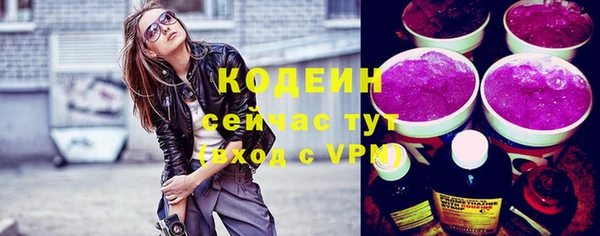 спиды Богородицк