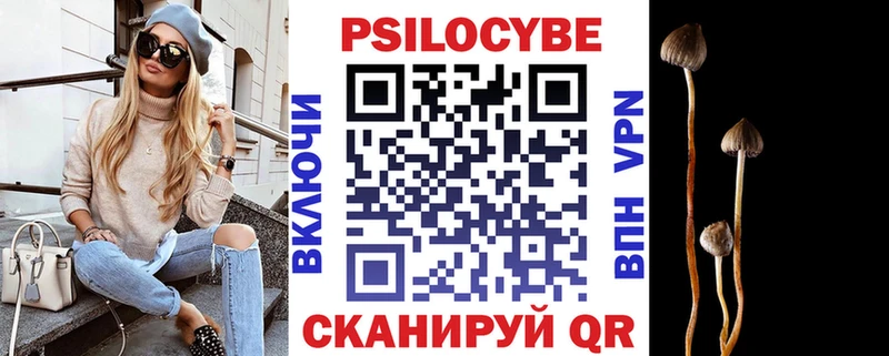 ОМГ ОМГ маркетплейс  Севск  Галлюциногенные грибы MAGIC MUSHROOMS  магазин продажи  